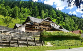 Гостиница Apartments Pod macesnovo streho, Солкава